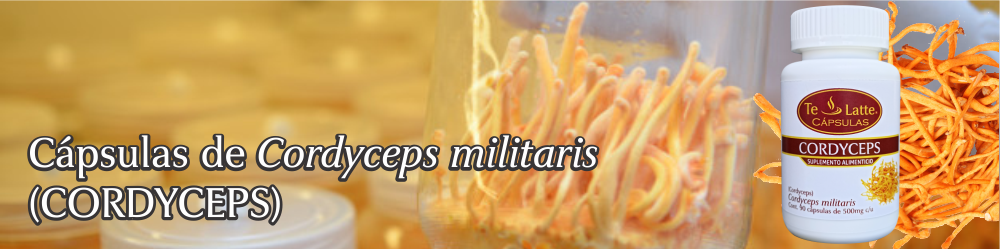 Te Latte Café - Cápsulas de Cordyceps militaris (CORDYCEPS)